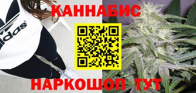 стаф Краснознаменск