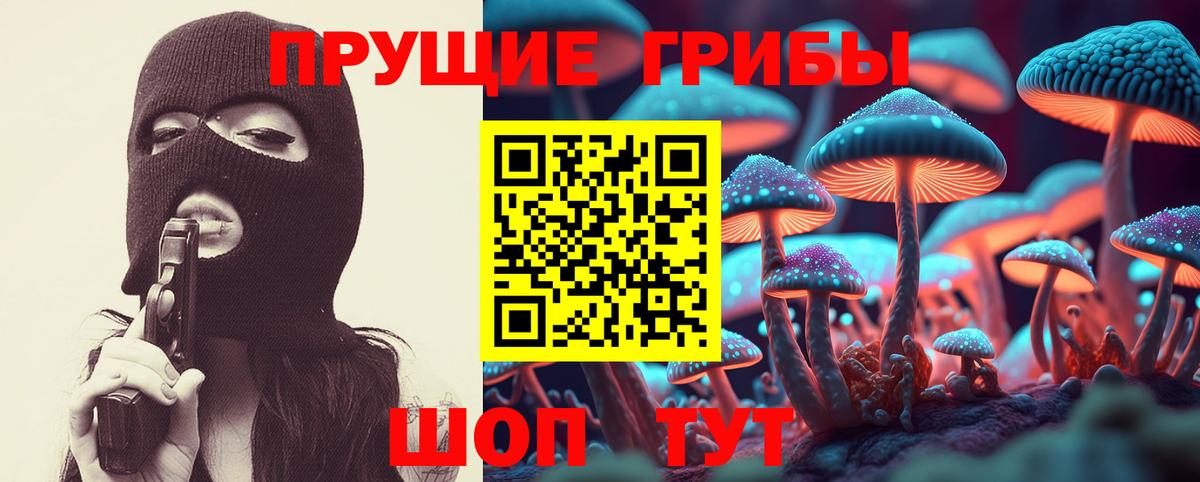 Галлюциногенные грибы GOLDEN TEACHER Кинель