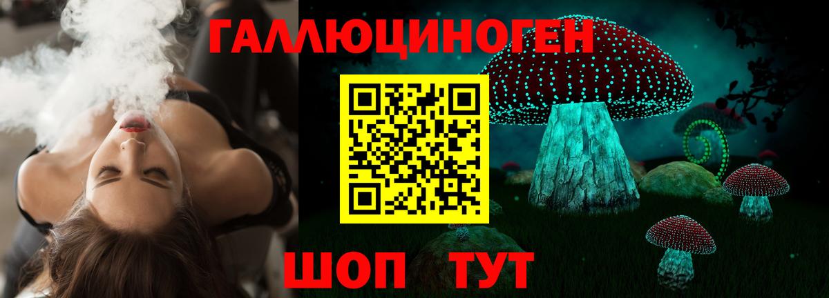 Кинель  Псилоцибиновые грибы Cubensis  Галлюциногенные грибы Psilocybe  Вход с VPN 